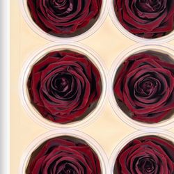 Wedding Items Dried Florals Moving Sale