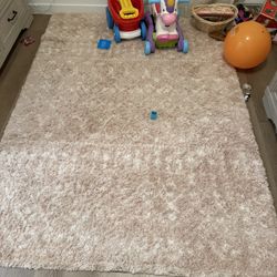 Soft beige / blush pink 5x7 plush shag rug