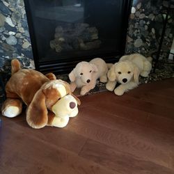Stuffed Animal Dogs