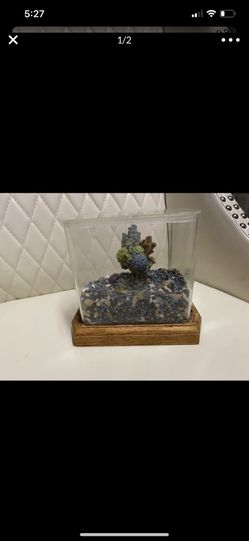 Small fish aquarium
