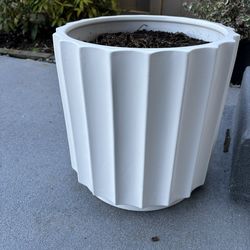 Plant Pot