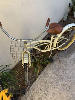 Custom beach cruiser