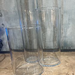 Blue Rose  Glass Vase Set
