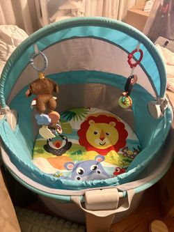 On The Go Baby Dome