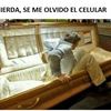 Benjamin