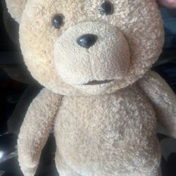 Ted 