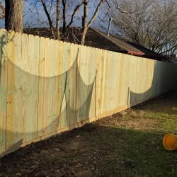 Fence 