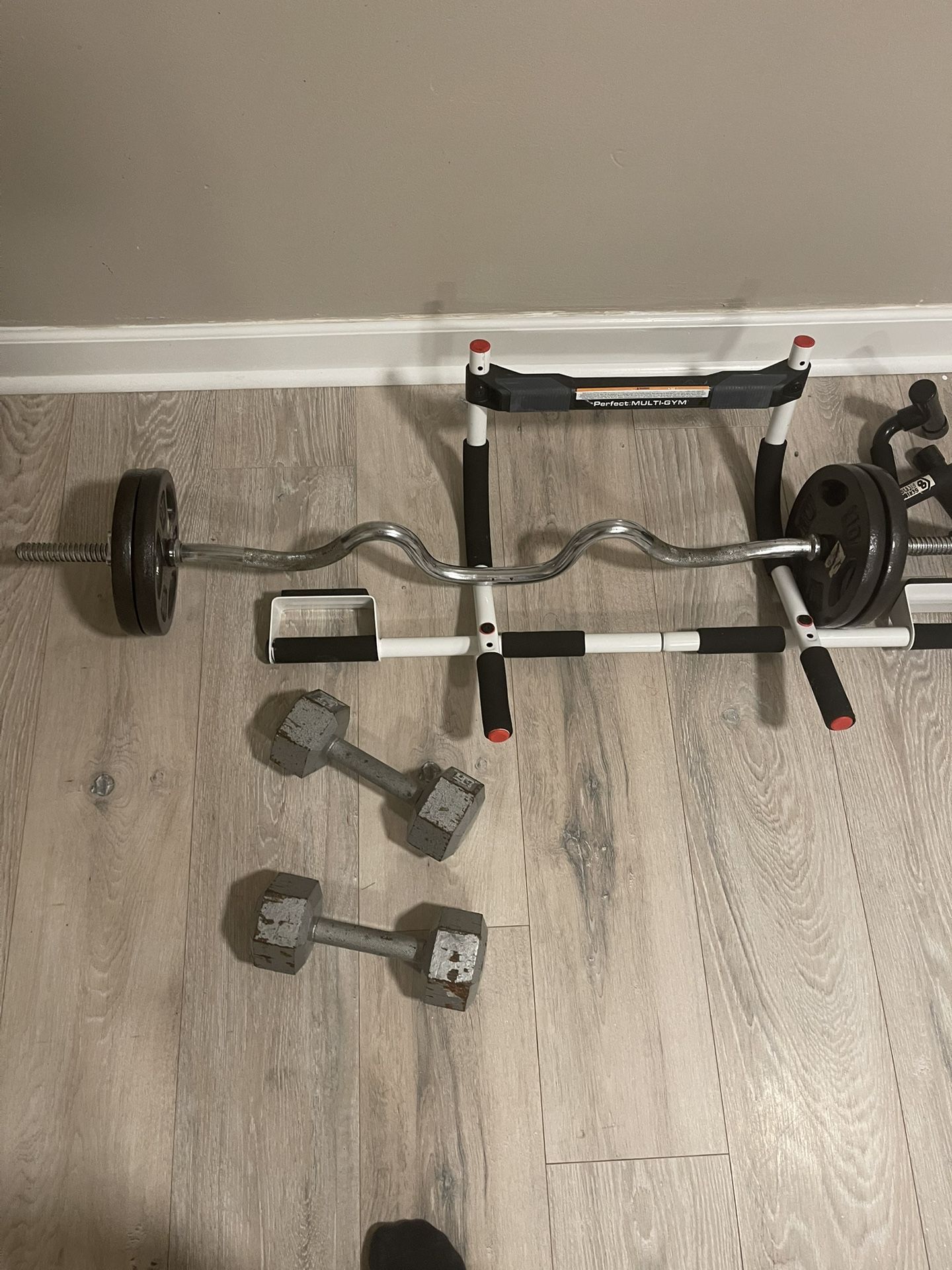 15,25,30 Pound Weights and EZ bar 