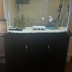 Free Fish Tank