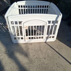 Play Gate Yorkie 