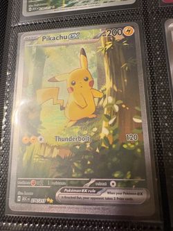 Full page + SIR Pikachu