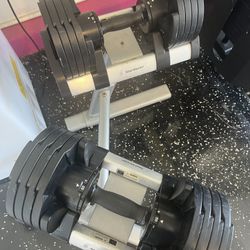 StairMaster Pair of TwistLock Adjustable Dumbbells w/ Stand!