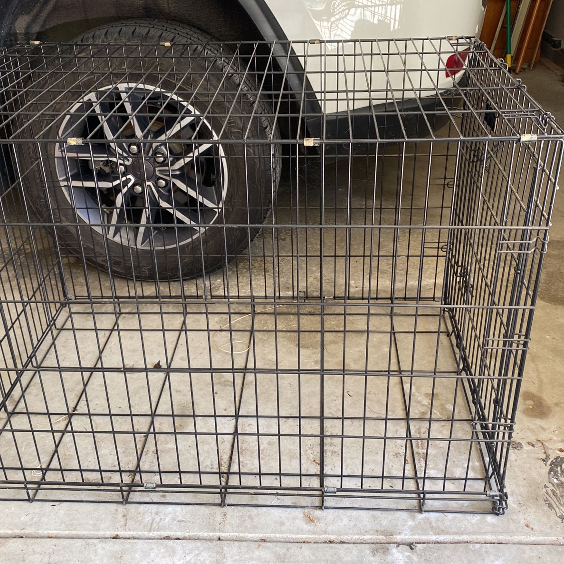Extra large Dog Crate!