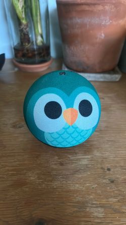 Alexa Owl