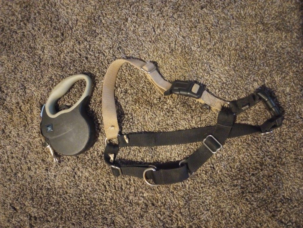 Easy Walk Dog Harness