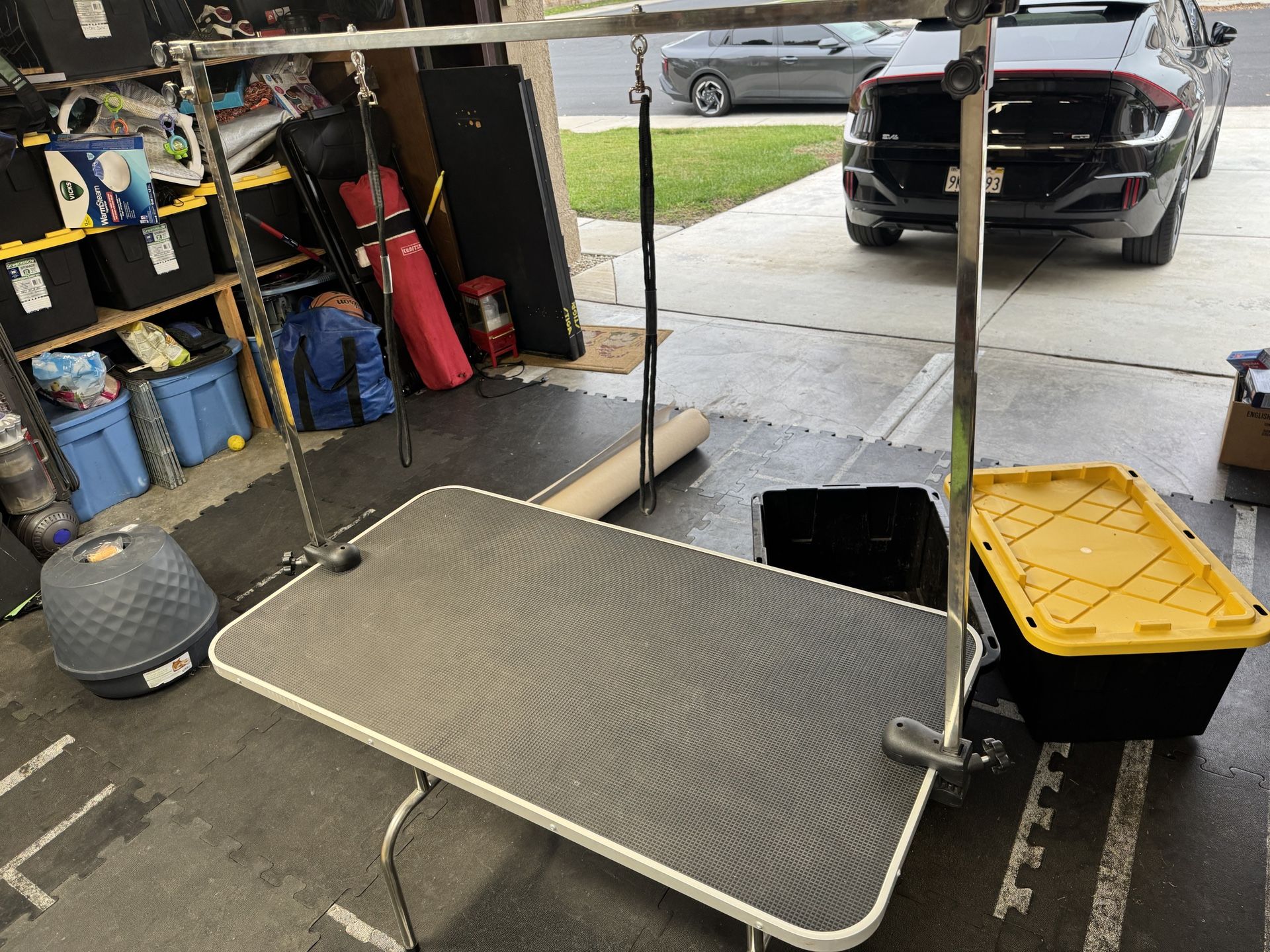Home Grooming Table.