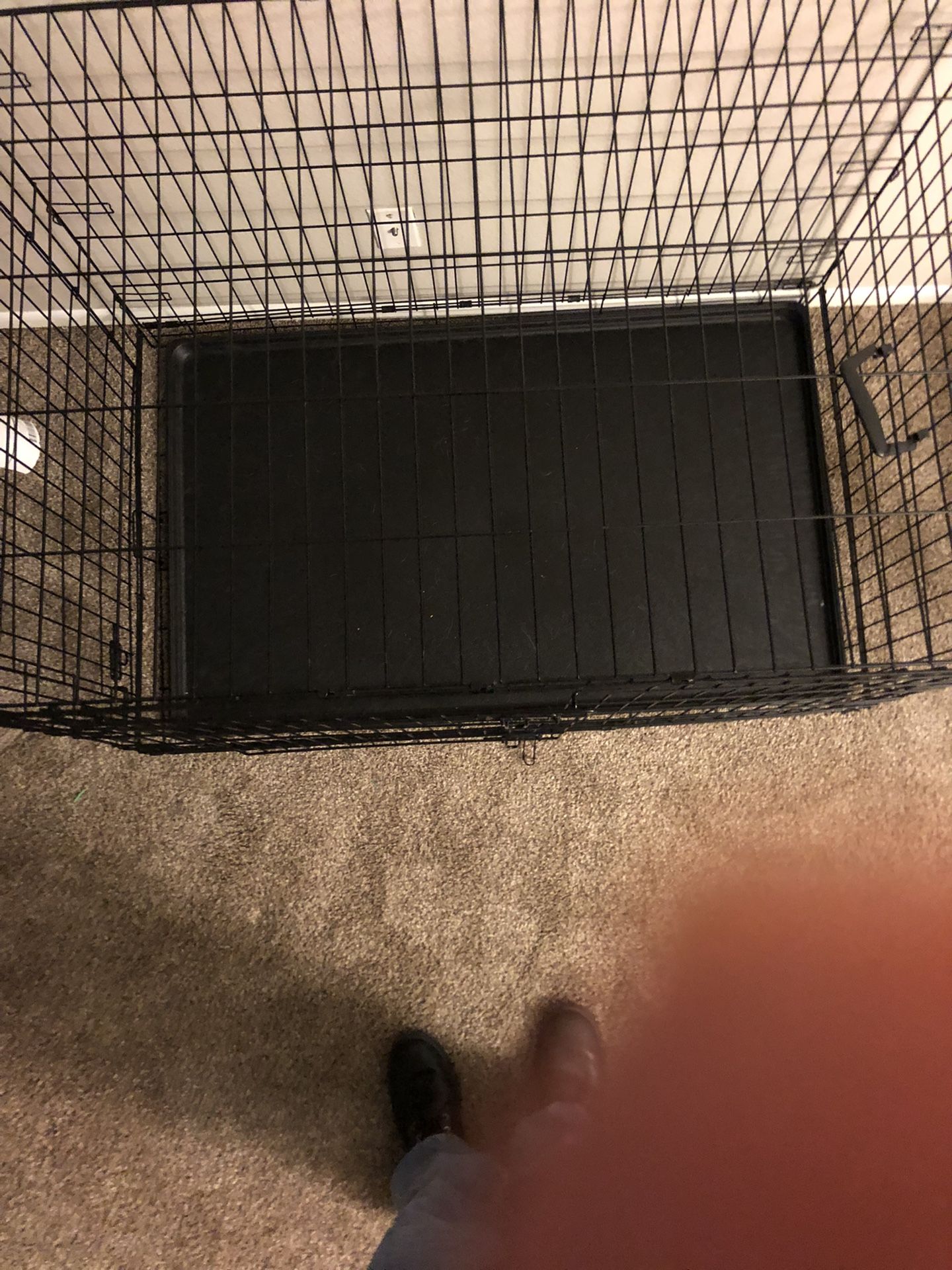 Dog Cage XXL