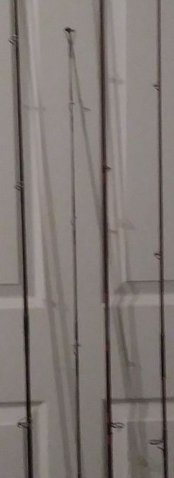 Fishing Poles/ Spinning Rods