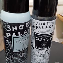 Shoe cleaner and shoe protector