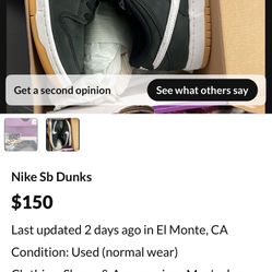 Nike Sb