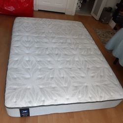 Mattress Queen Firm