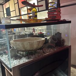 80 Gallon Fish Tank 