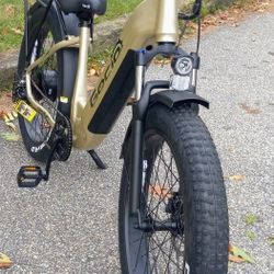 Electric Bike 