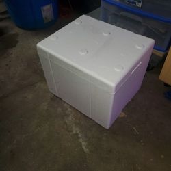 Cooler In A Box.    15"×18"×15"