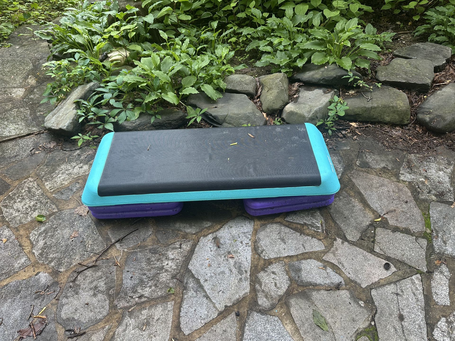 Step Exercise Thing