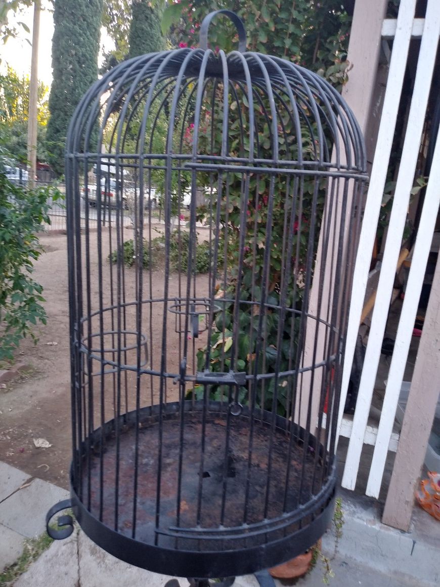 Bird cages 🐦