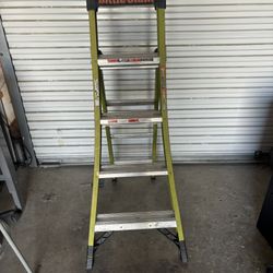 Little Giant Ladder 