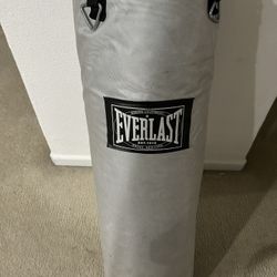 Everlast Punching Bag 80 Lb