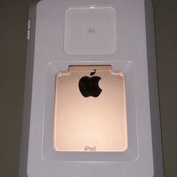 iPad mini with Square readers and case