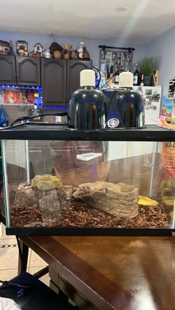 Reptile tank