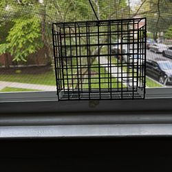 Bird Feeder