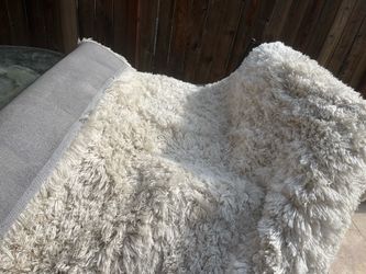Shag rug