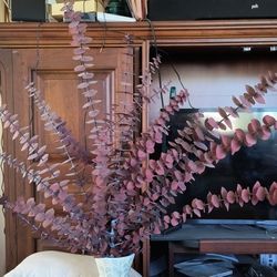 Eucalyptus Two  Large Burgundy Bunches 