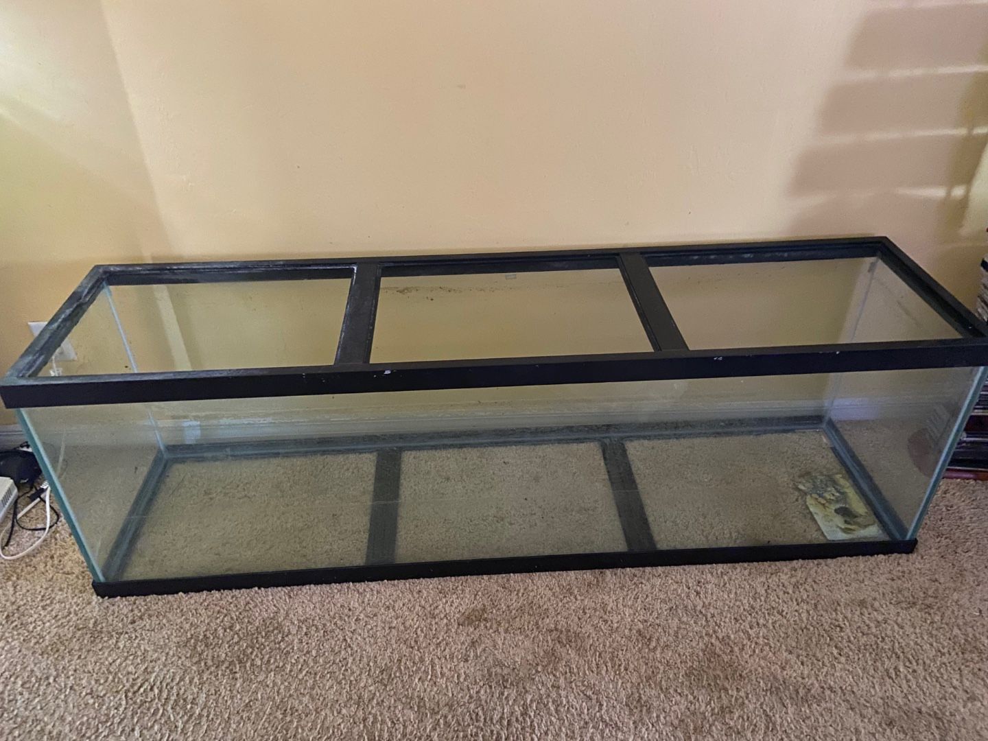 125 Gallon Aquarium