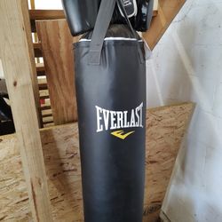 Everlast Punching Bag 