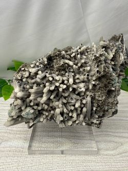 Rare  Crystal Candle Quartz Cluster