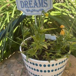 potted Plants With Cute Little Decor Signs
