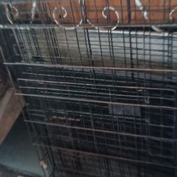 Dog Cage 