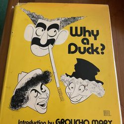 Why A Duck? book