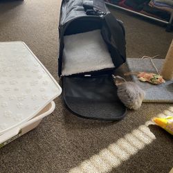 Cat Supplies 
