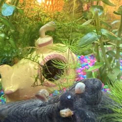 Fish Tank Decorations Toys Aquarium Decorations Fish Tank Plants