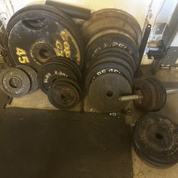 Tons Of Weights And IMPEX Power House 1900 Weight Bench with Preacher Curls 