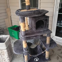 Cat Home 