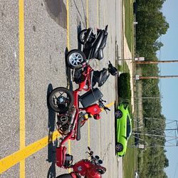 Icebear Maddog 50cc