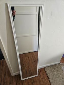 Door Mirror