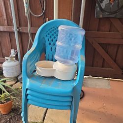 Dog Water Jug Dispenser